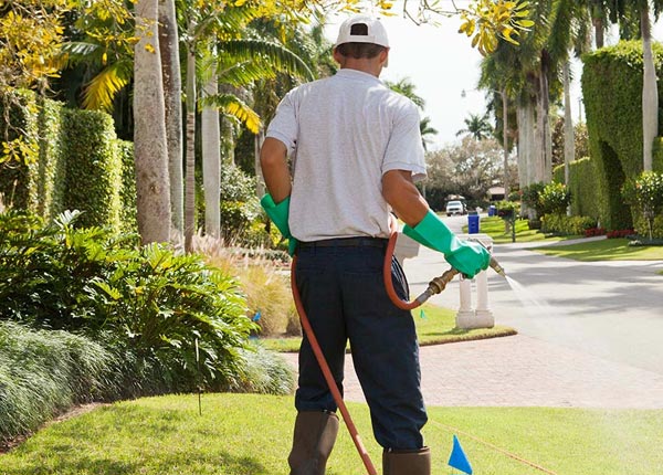 About Lexington MA Pest Control Pros